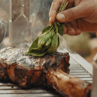 Kasai Medium Long Pro Konro Grill Griller & pizzaovner Kasai Grills 